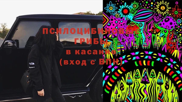 эйфоретик Алексин